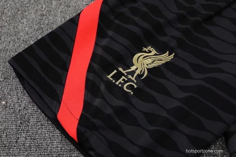 22/23 Liverpool Pre-match Training Jersey Green Vest