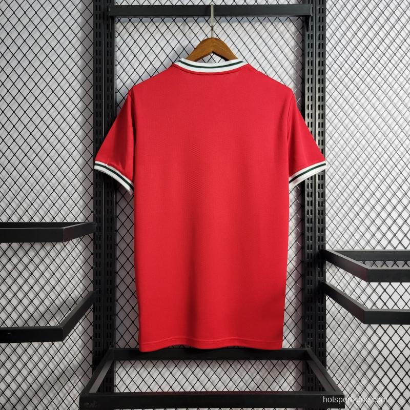 2022 Wales Home Soccer Jersey