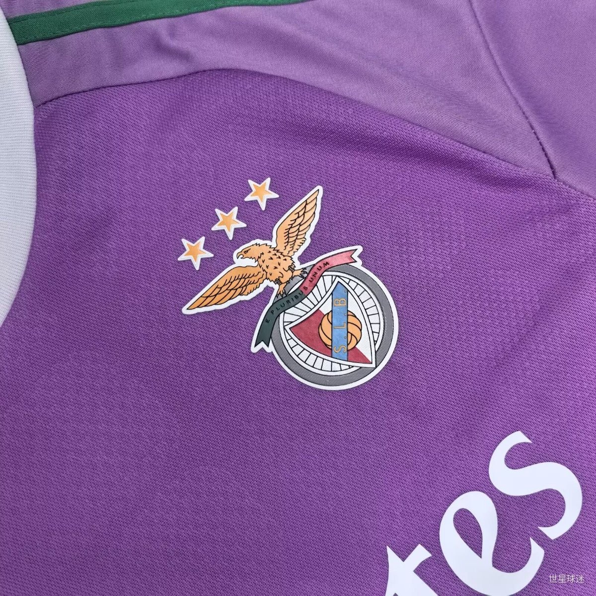 26/27 Benfica Purple Goalkeeper Jersey