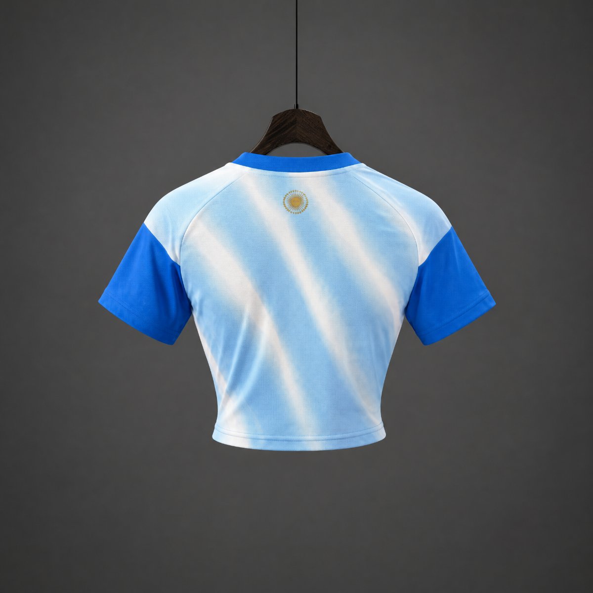 2026 Argentina MESSI Tribute PreMatch Women Crop Jersey